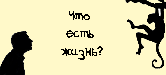 Чудеса жизни. Что есть жизнь?